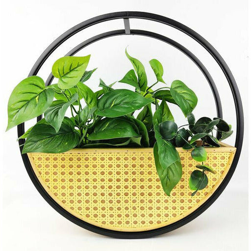 rattan circle wall planter