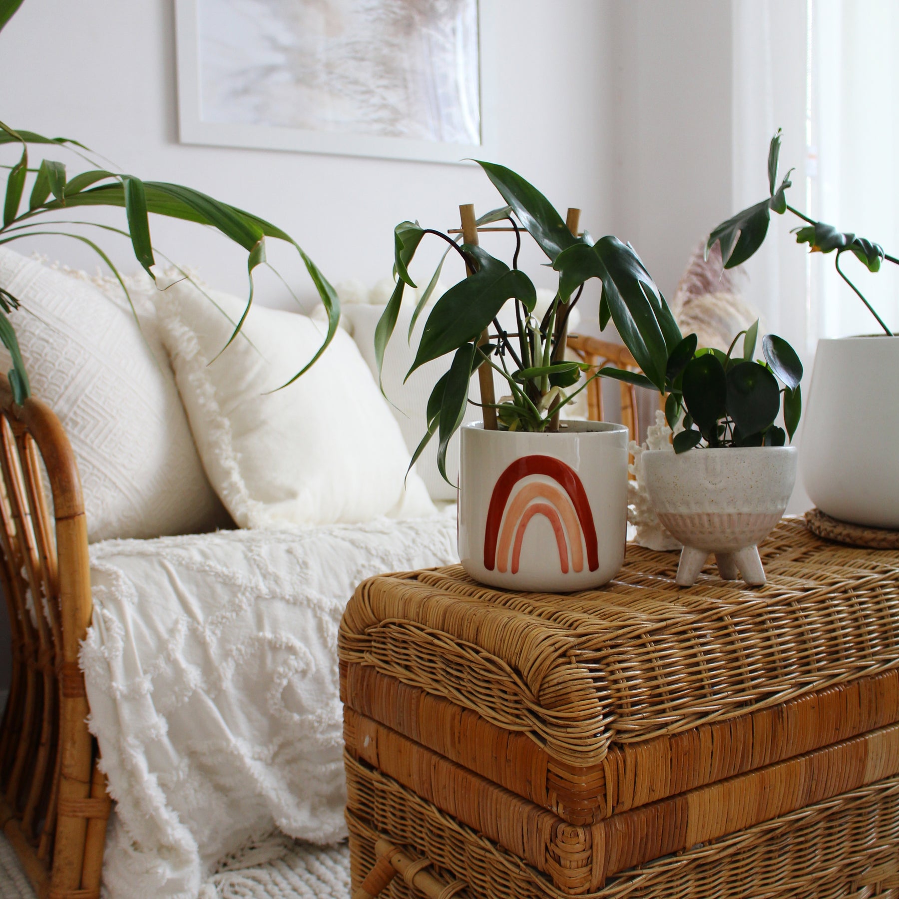 Styling Your Indoor Plants with The DIY Decorator