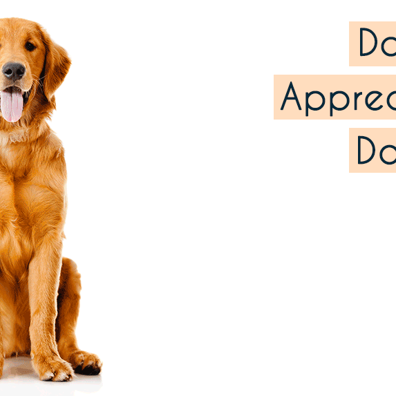 Happy Dog Appreciation Day!