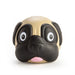 dog kris kringle ideas
