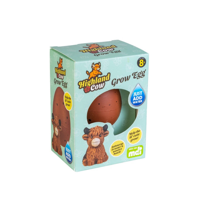 Growing Highland Cow Egg