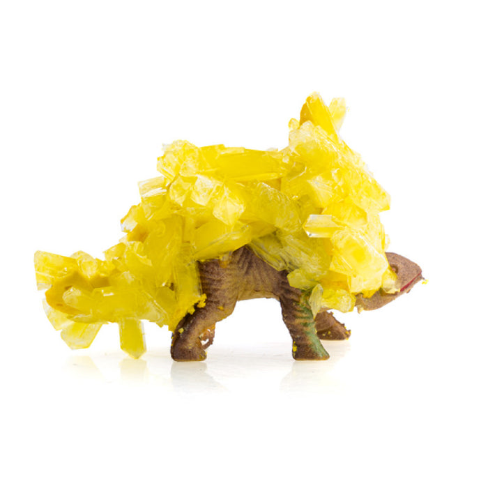 Sculpt and Grow Crystal Dino
