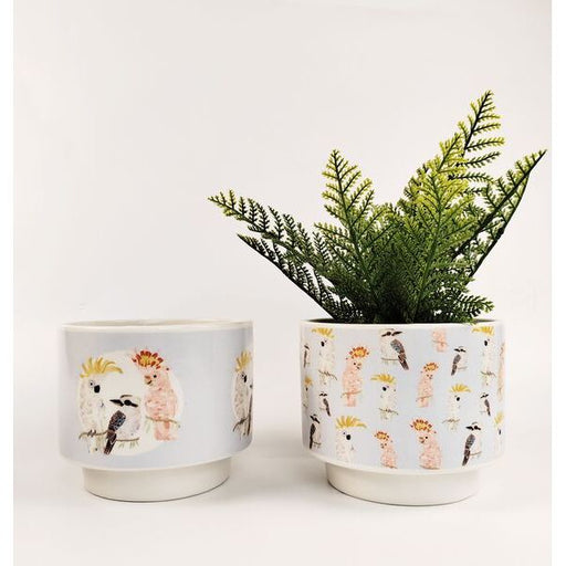 australian themed plant pot