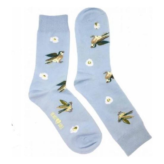 shop sale socks for men and women