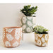 Trio of Floral Planter pots