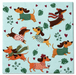 dog serviette