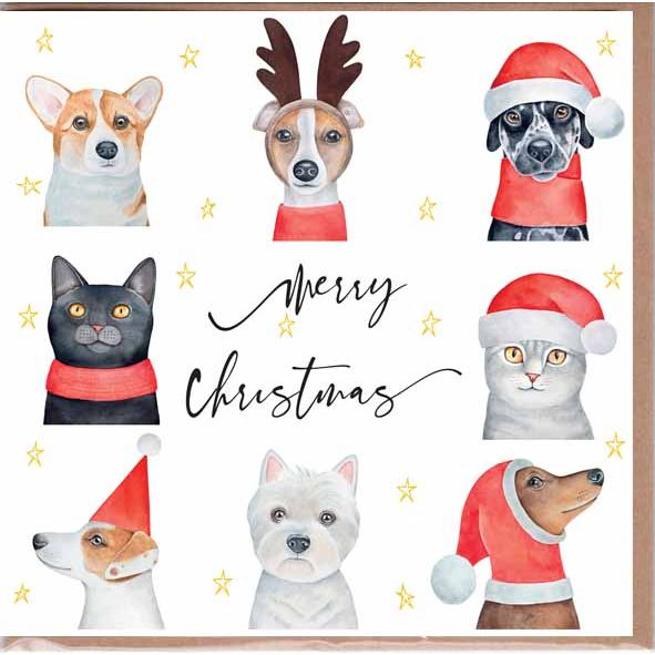 Cat and Dog Merry Christmas Card