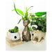 australian animals planter pots and vase