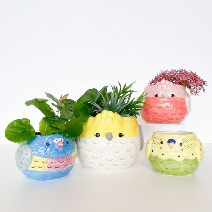 bird planter range