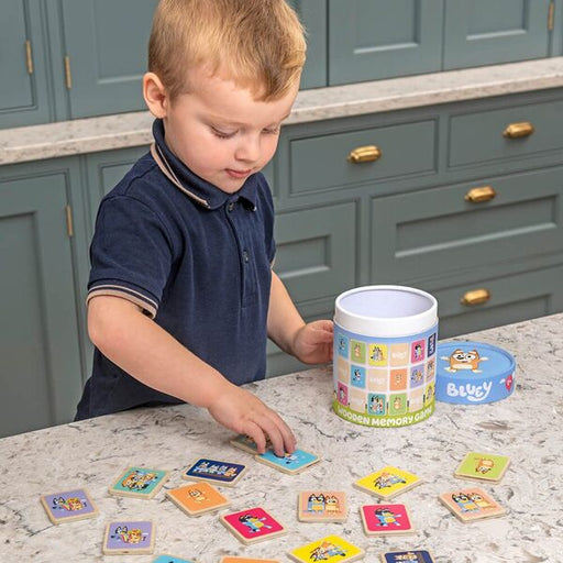 bluey memory game kids activity