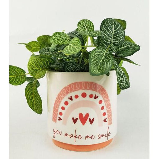 discounted planter pot