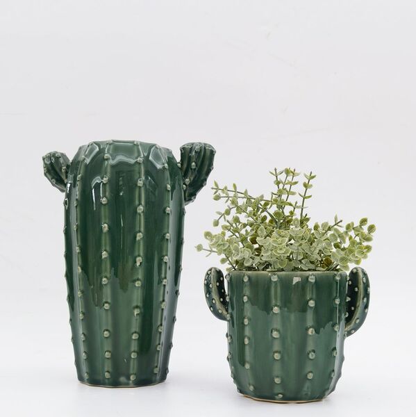 cactus vase and plant po