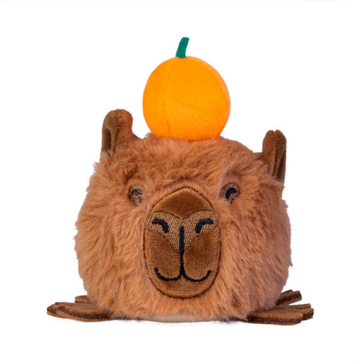 capybara stress toy with squishy jellies