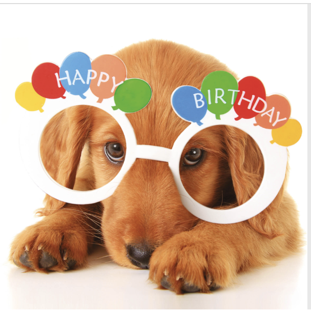 Puppy Glasses Happy Birthday Card