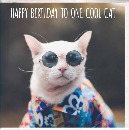 birthday card cool cat