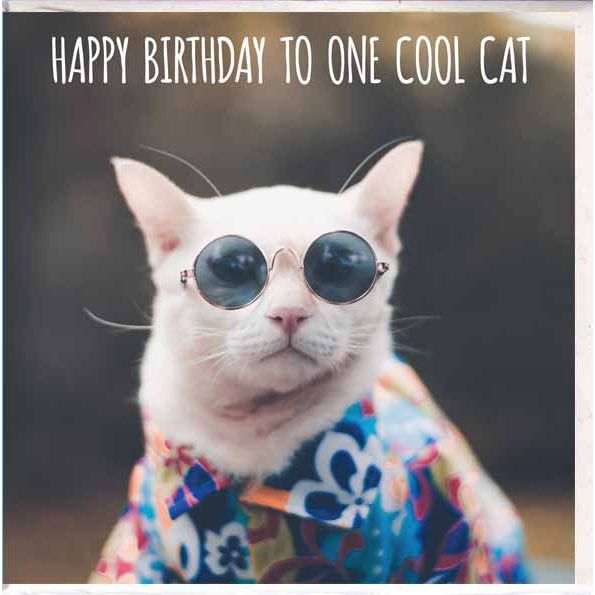 Happy Birthday Cool Cat Card — Spoilt Gift Homewares
