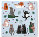 cat serviette