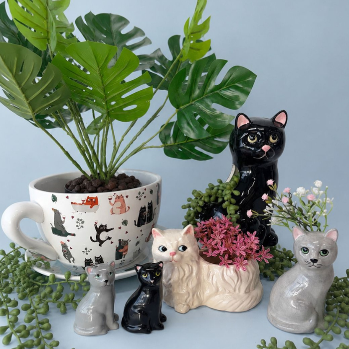 Cat Salt & Pepper Shakers 8cm