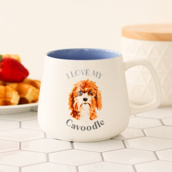 cavoodle gift