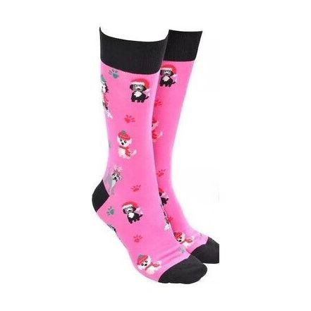 pink dog socks for christmas