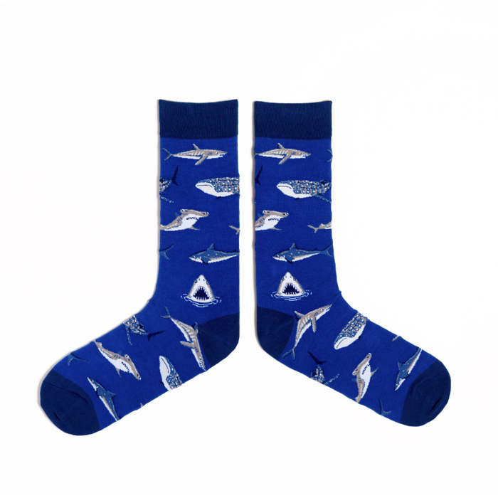 Shark socks Australia