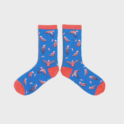 Australian Bird Socks