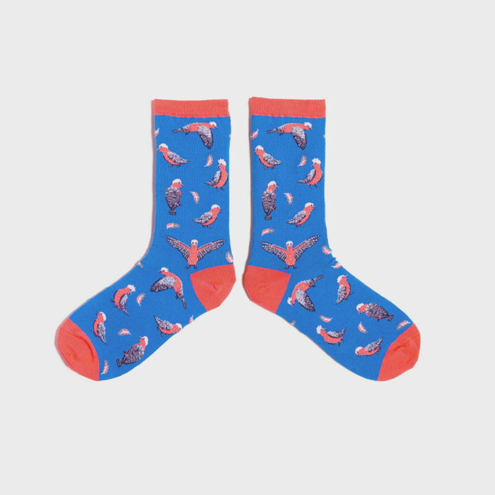 Australian Bird Socks
