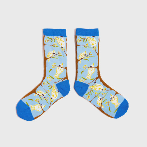 Pair of socks with cockatoos Australia