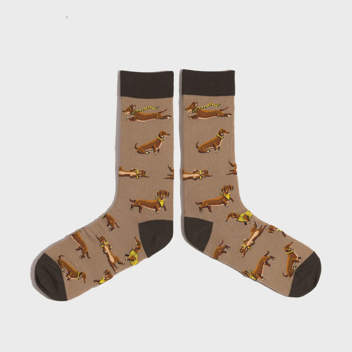 You Look Dachshing Dachshund Socks Men