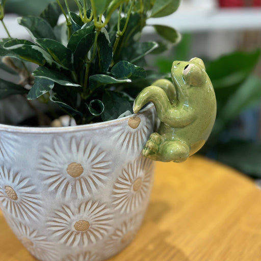 Frog Pot Hanger Best Seller