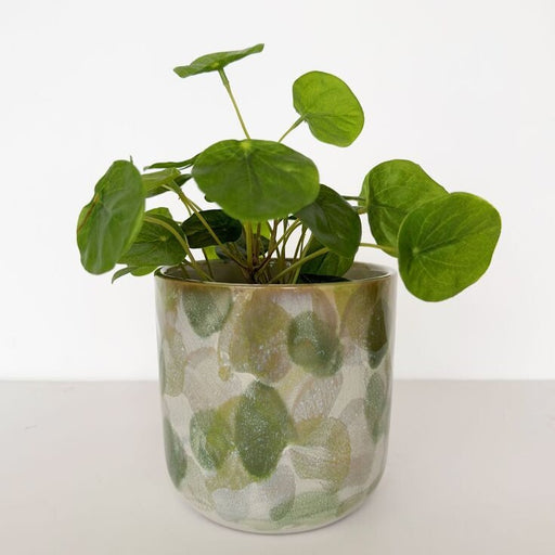 della artisian green planter por for indoors