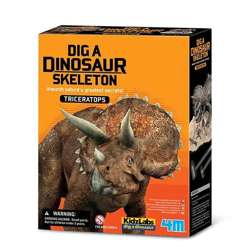 dig a dinosaur kids activity