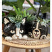 dog and cat head planters best sellers