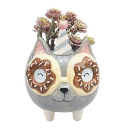 quirky cat planter