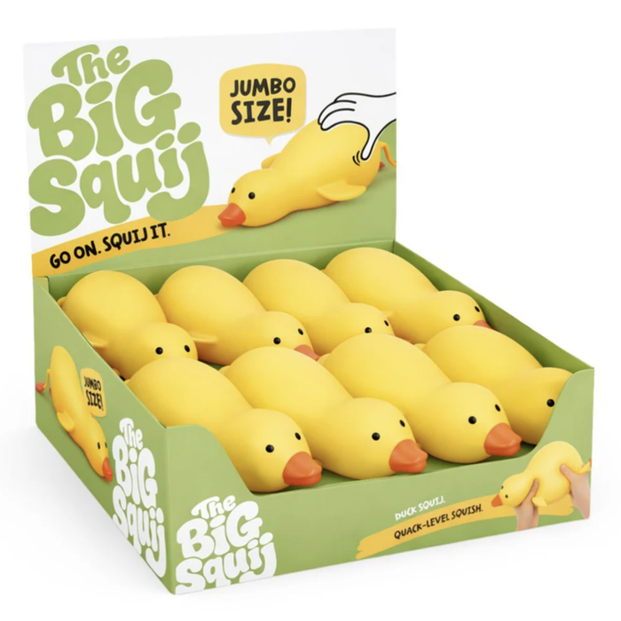 viral tiktok duck squishy