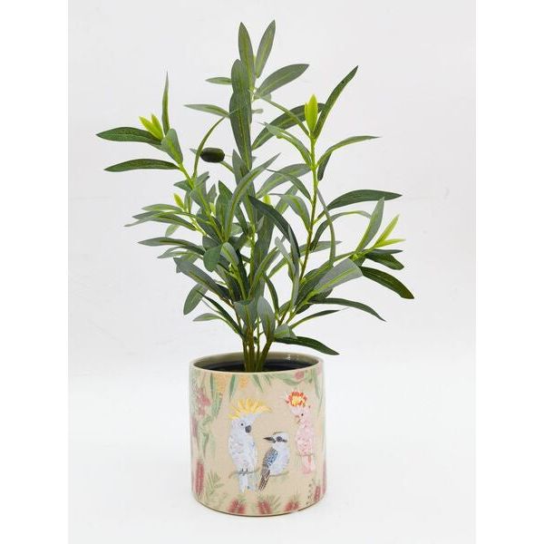 frankie b australian birds planter pot