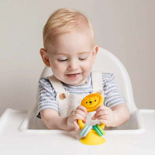 baby toy for highchair