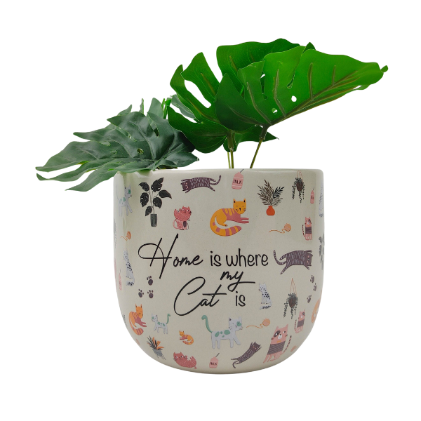 sale planter home is where my cat is