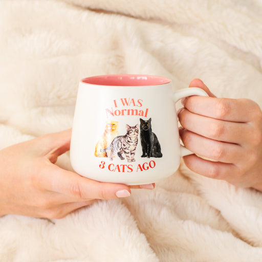 i was normal cats mug for coffee cat owner gift