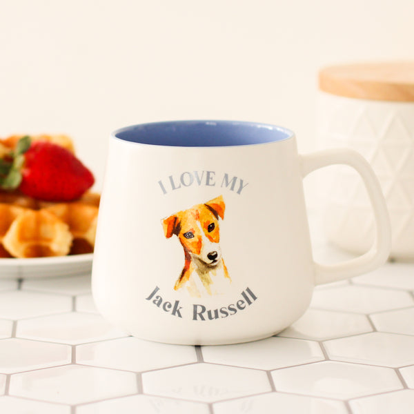 jack russell dog breed present
