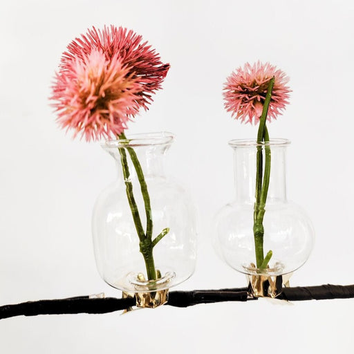 kinkora glass test tube vases with clip