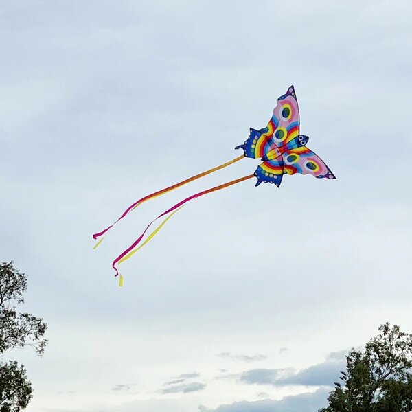 butterfly kite for big kids