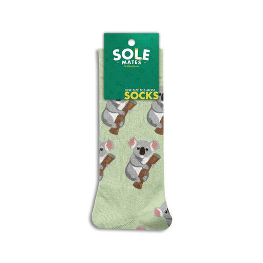 Pack of socks with koala design on a light green background