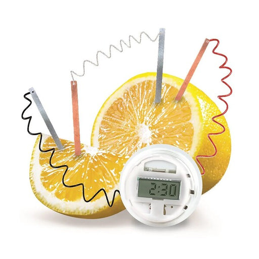 lemon clock kit for kids activity