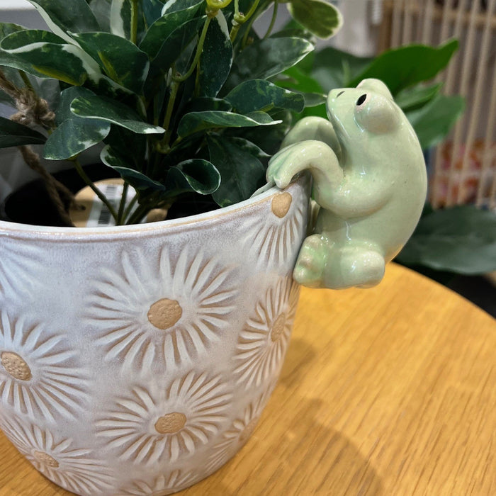 frog plant pot hangers Urban Products Frog Light Green Pot Hanger 8cm — Spoilt Gift & Homewares