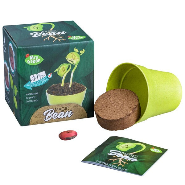 grow a magic bean gardening activity kit