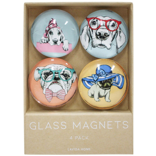 set of four quirkydog glass magnets