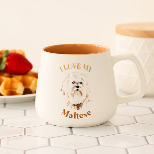 maltese dog breed coffee cup