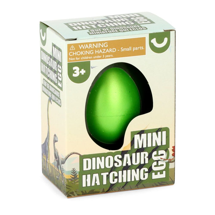 Mini Dinosaur Hatching Egg
