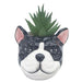 Dog-shaped planter with a succulent 